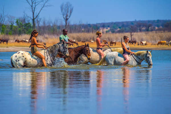 Riders riding into the Horizon lake, South Africa