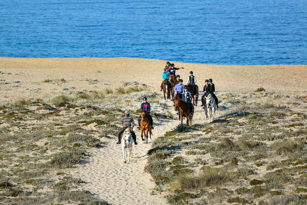 Riders riding on the beach on the Bottlenose trail ride