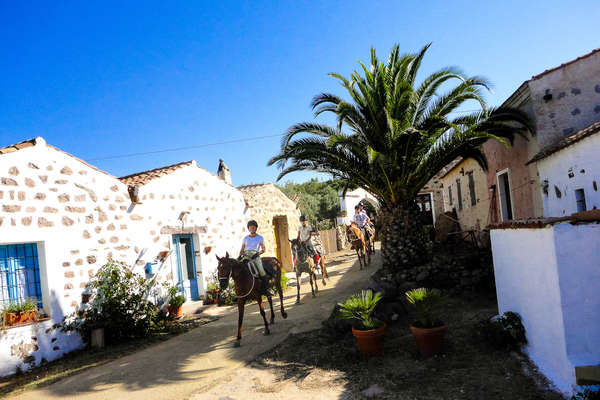 Riders riding their horses through a small village in Sardinia