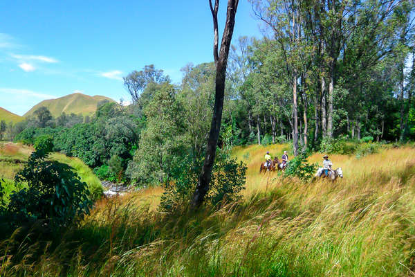 Riders riding through Madagascar's countryside