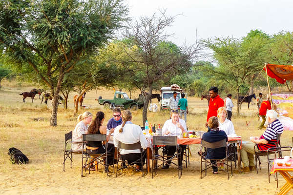 Riders stopping for a picnic during a trail riding holiday in India