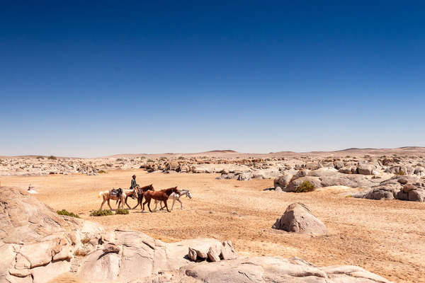 Riders taking in the immensity of the Namib Desert