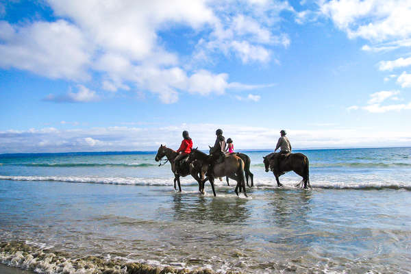 Riders taking their horses into the sea on a riding holiday