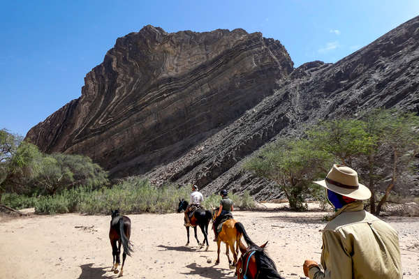 Riders walking along the Damaraland