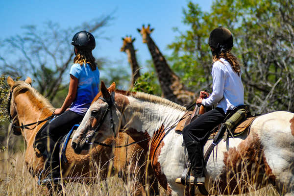 Riders watching giraffe on horseback