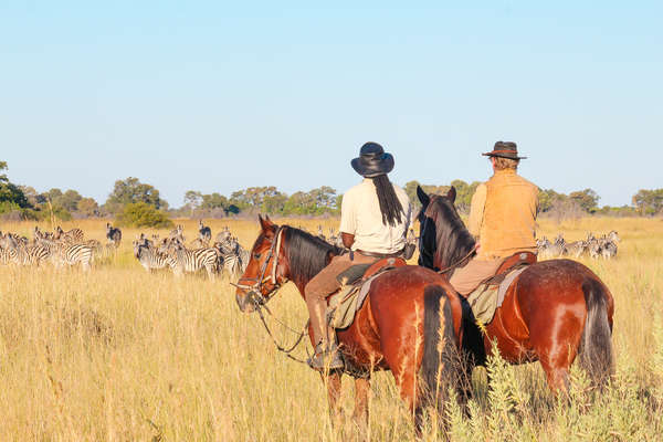 Riders watching zebra during a horseback safari in Botswana