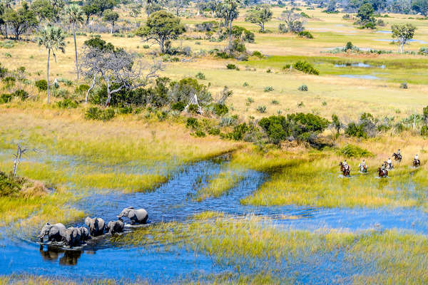 Riders with elephant at Macatoo Camp