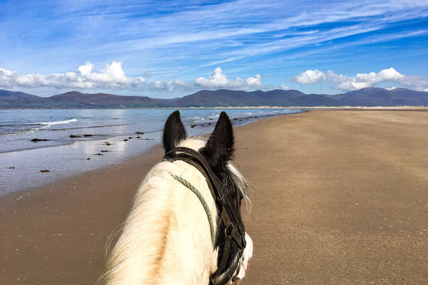 Riding an Irish cob on a beach in Ireland