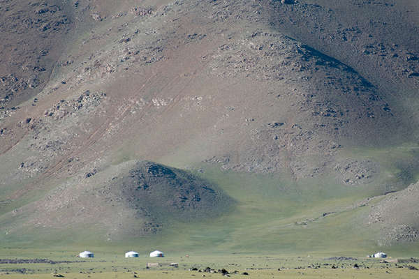 Riding and yurts in Mongolia