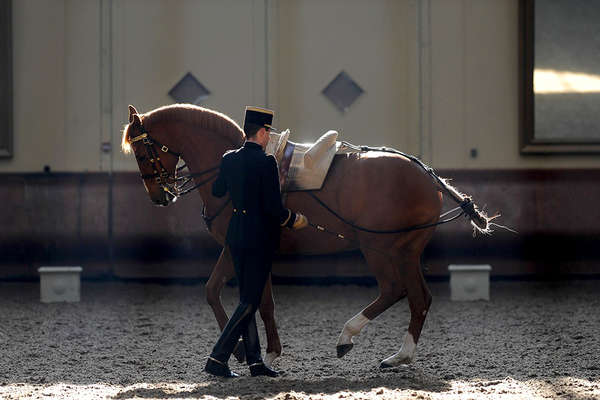 Cadre Noir de Saumur: Discover France's unique style of horse riding