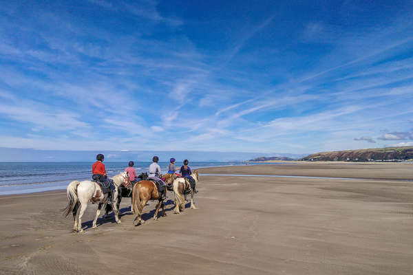 Riding holiday in Wales to the beach