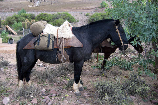 Riding holidays in the Andes, Argentina