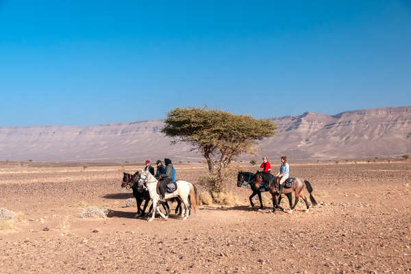 Riding in a rocky part of the Sahara on a riding holiday in Morocco