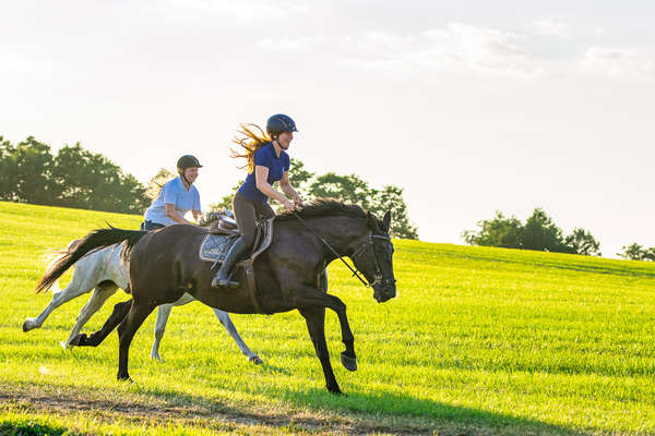 Riding Polish horses on a riding holiday in Warmia-Masuria