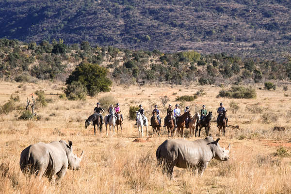 Riding safari in South Africa, Entabeni conservancy