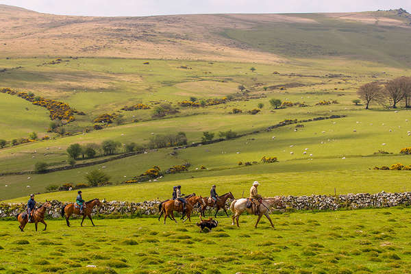 Riding trail through Dartmoor in Devon