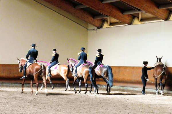 Riding with the prestigious Cadre Noir in Saumur