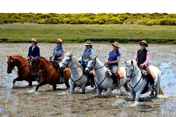 River crossing with the horses