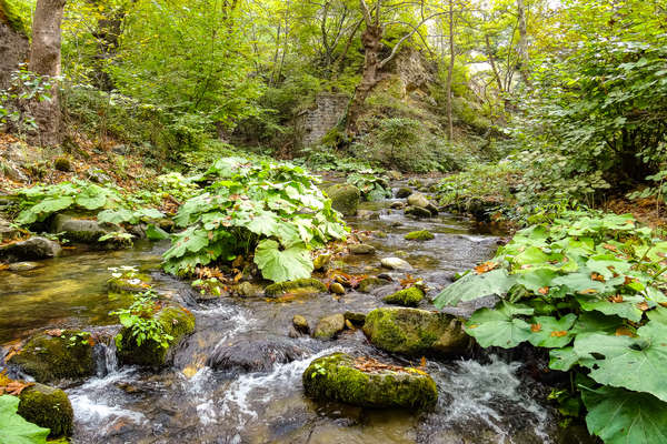 River in Bulgaria