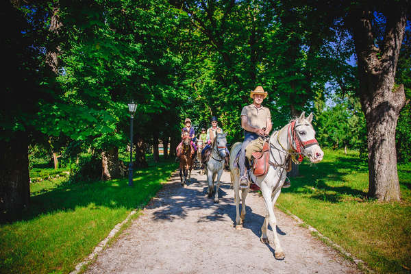 Romania in the saddle