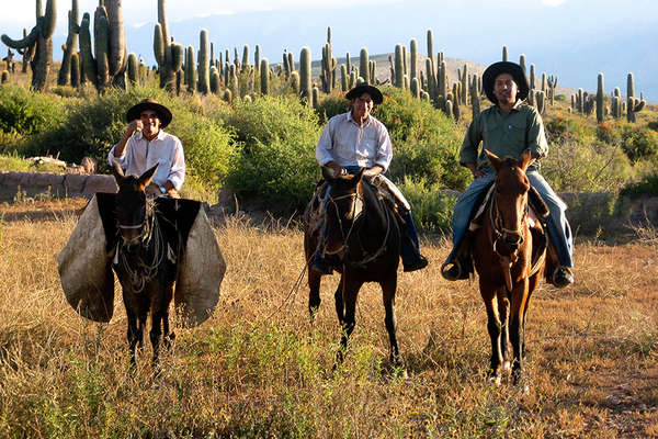 Salta and gauchos in Argentina