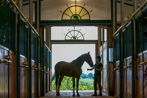 Silhouette of a horse and rider in the stables at Il Paretaio