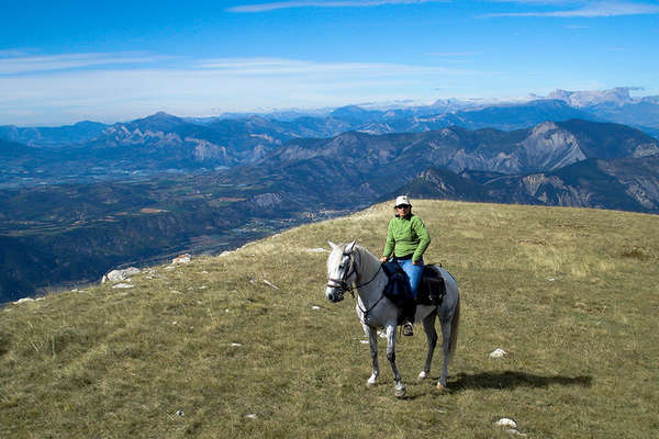 South Alps on horseback, France
