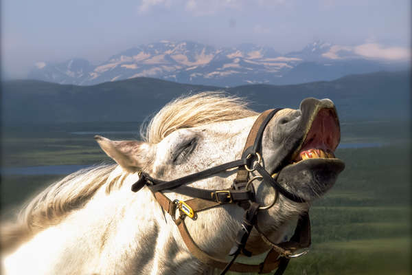 Summer Expedition in Swedish Lapland