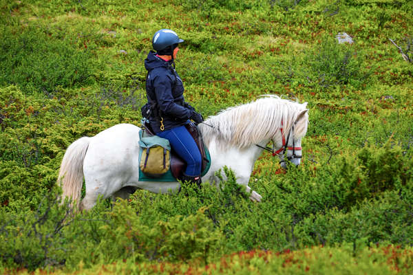 Summer Expedition in Swedish Lapland