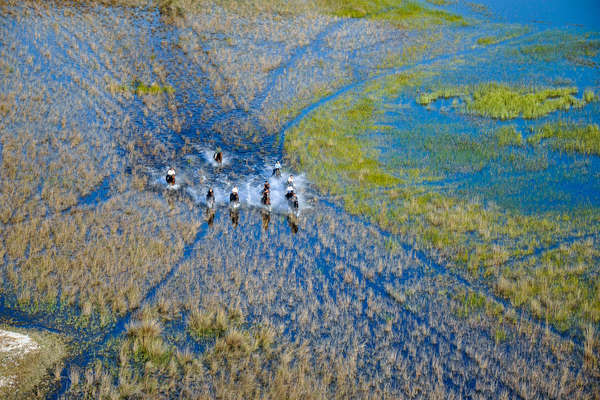 The floodplains of the Okavango, Botswana