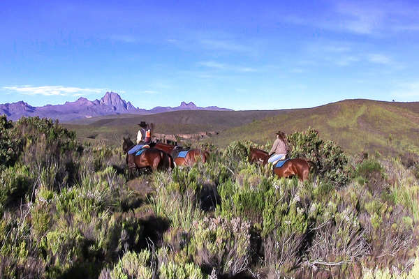 The scenery at Borana Conservancy as seen on horseback