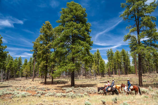 Three park  trail ride in the United States