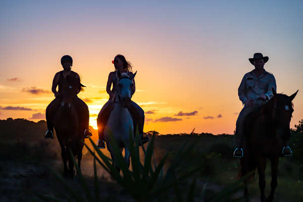 Three riders riding during the sunset in Mozambique