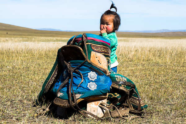 Traditional saddle in Mongolia 