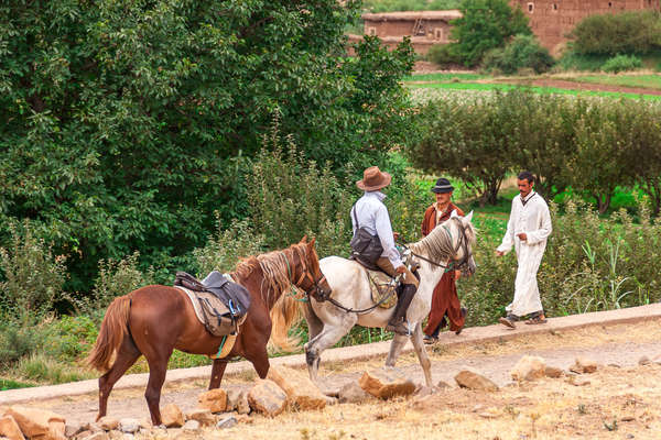 Trail guide leading  a horse through the Moroccan countryside