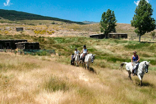 Trail ride through Spain on horseback