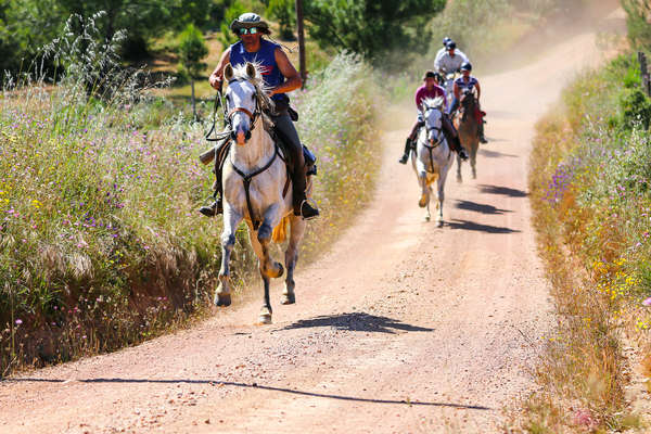 Trail riders and their horses cantering along a dust track in the Alentejo