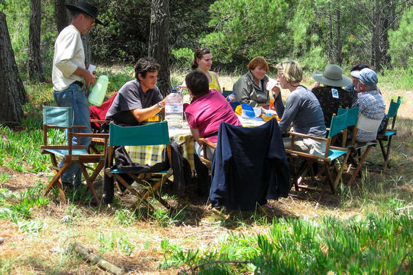 Trail riders enjoying a picnic with horses in the background