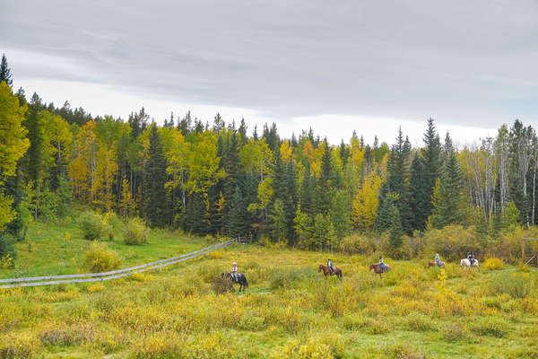 Trail riders exploring the lands near Calgary