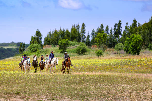 Trail riders in a lovely meadow in the Alentejo region of Portugal