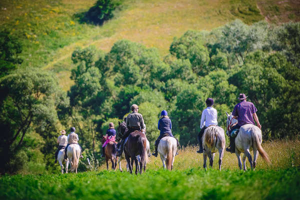 Trail riders on a riding holiday in Romania