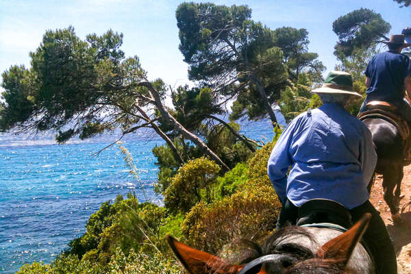 Trail riders riding along the coast in menorca
