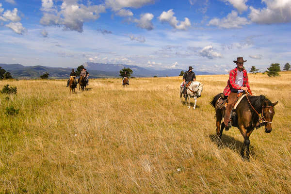 Trail riders riding in the Ecuadorian paramo