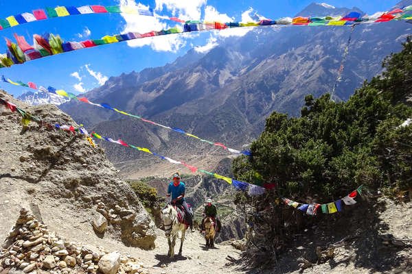 Trail riders riding up the Himalayas on horseback