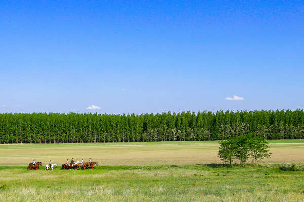 Trail riding across the Puszta Plains in Hungary