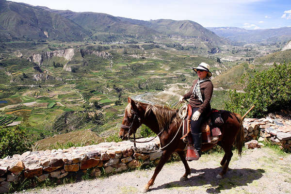 Trail riding around the Colca Canyon Peru