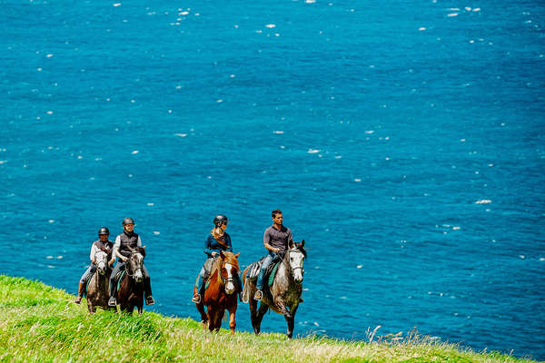 Trail riding by the ocean in the Azores