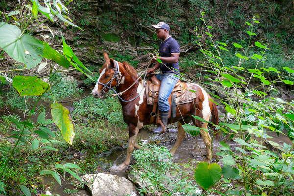 Trail riding guide crossing a small river on horseback