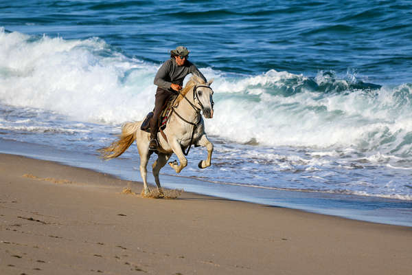 Trail riding guide galloping his horse down a beach in Portugal