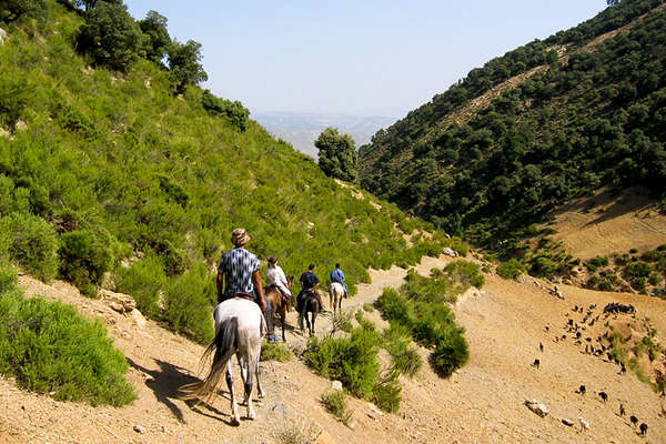 Trail riding holidays to the High Atlas Mountains 